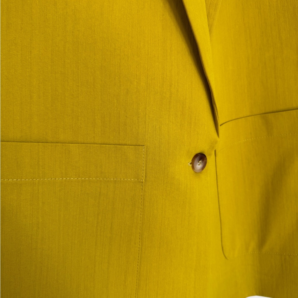 Zara Mustard Blazer - Picture 6 of 13